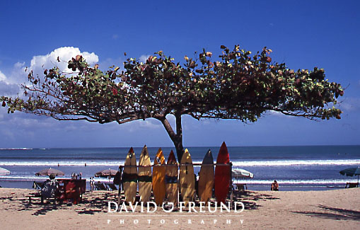 Bali Beach Wedding